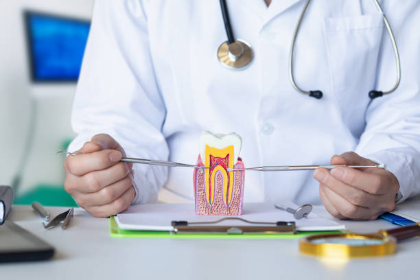 Best Emergency Root Canal Therapy in Dover Beaches North, NJ